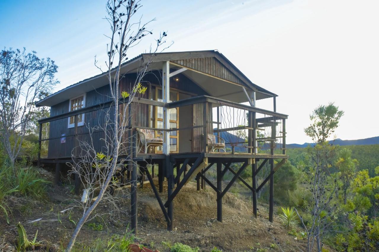 Rainforest Ridge Eco Resort The Crags Eksteriør bilde