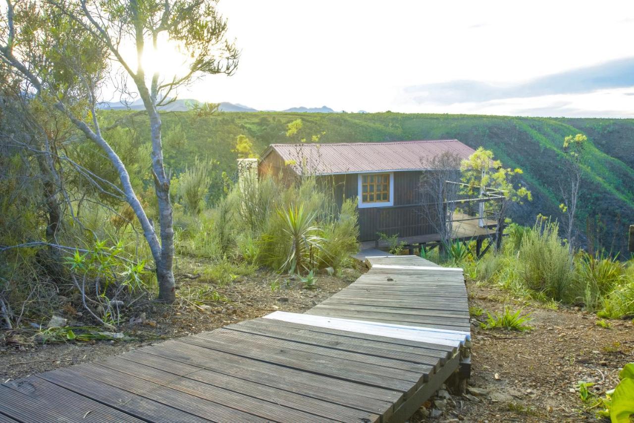 Rainforest Ridge Eco Resort The Crags Eksteriør bilde